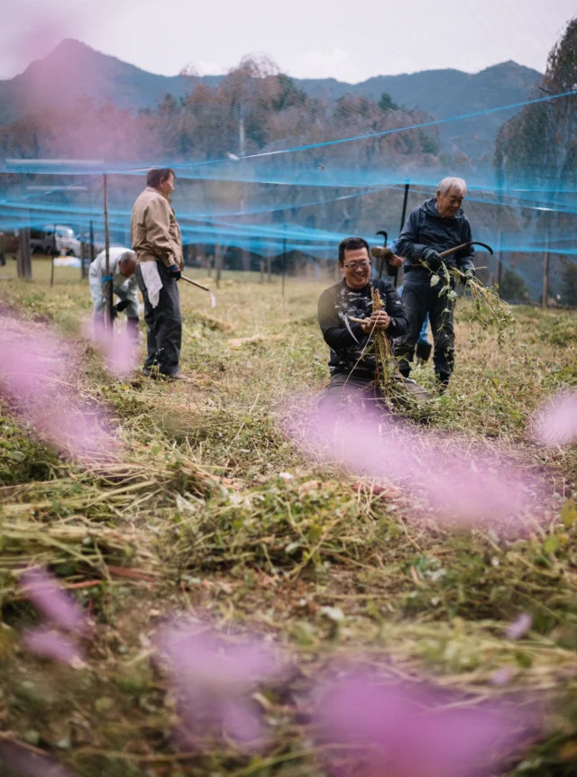 にし阿波の傾斜地農耕システム | 徳島剣山世界農業遺産推進協議会