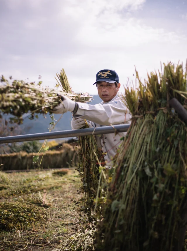 にし阿波の傾斜地農耕システム | 徳島剣山世界農業遺産推進協議会